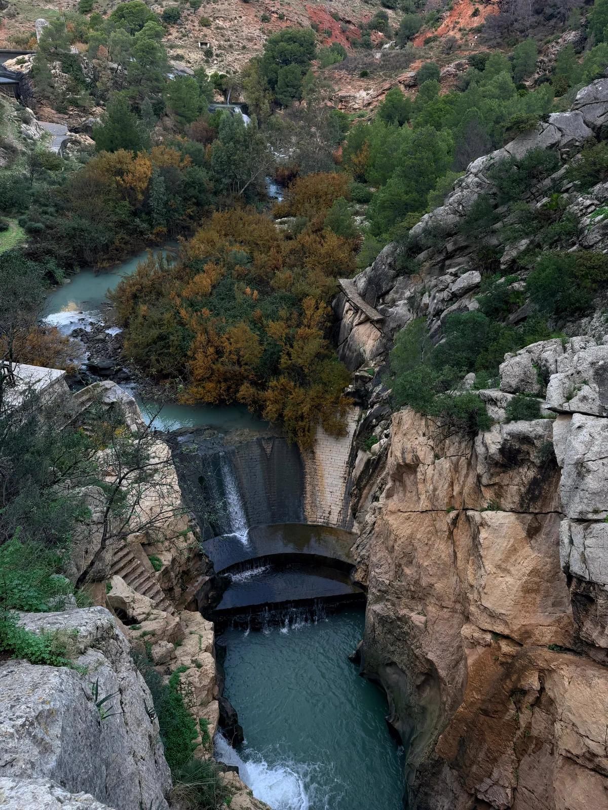 River enclosed by vegetation and the walls of the gorge