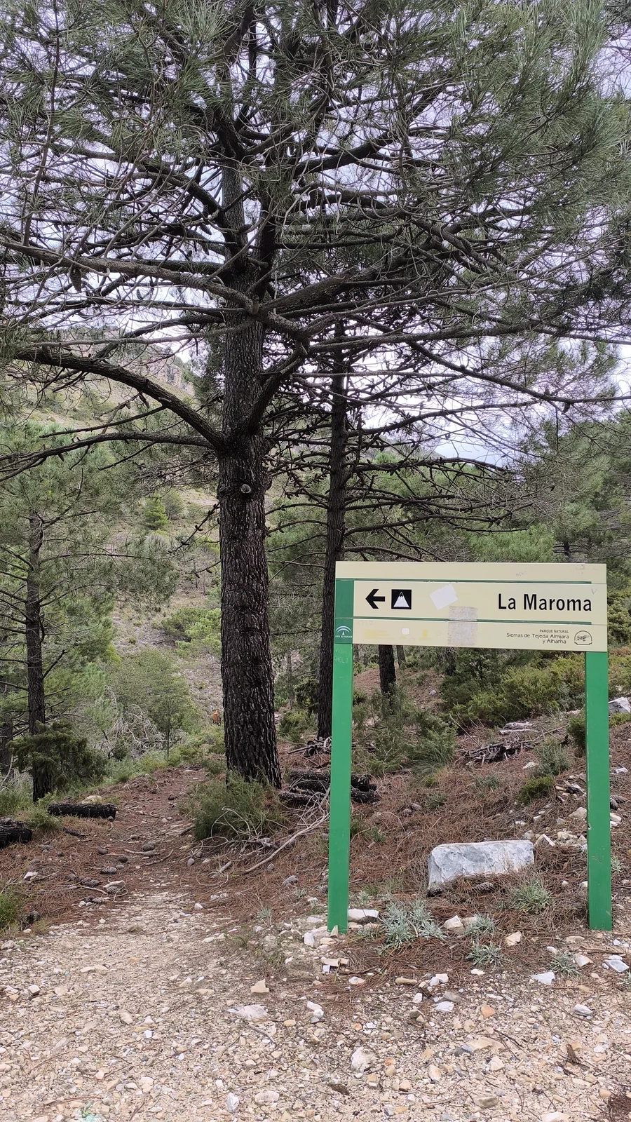 Trail sign towards La Maroma among pine trees