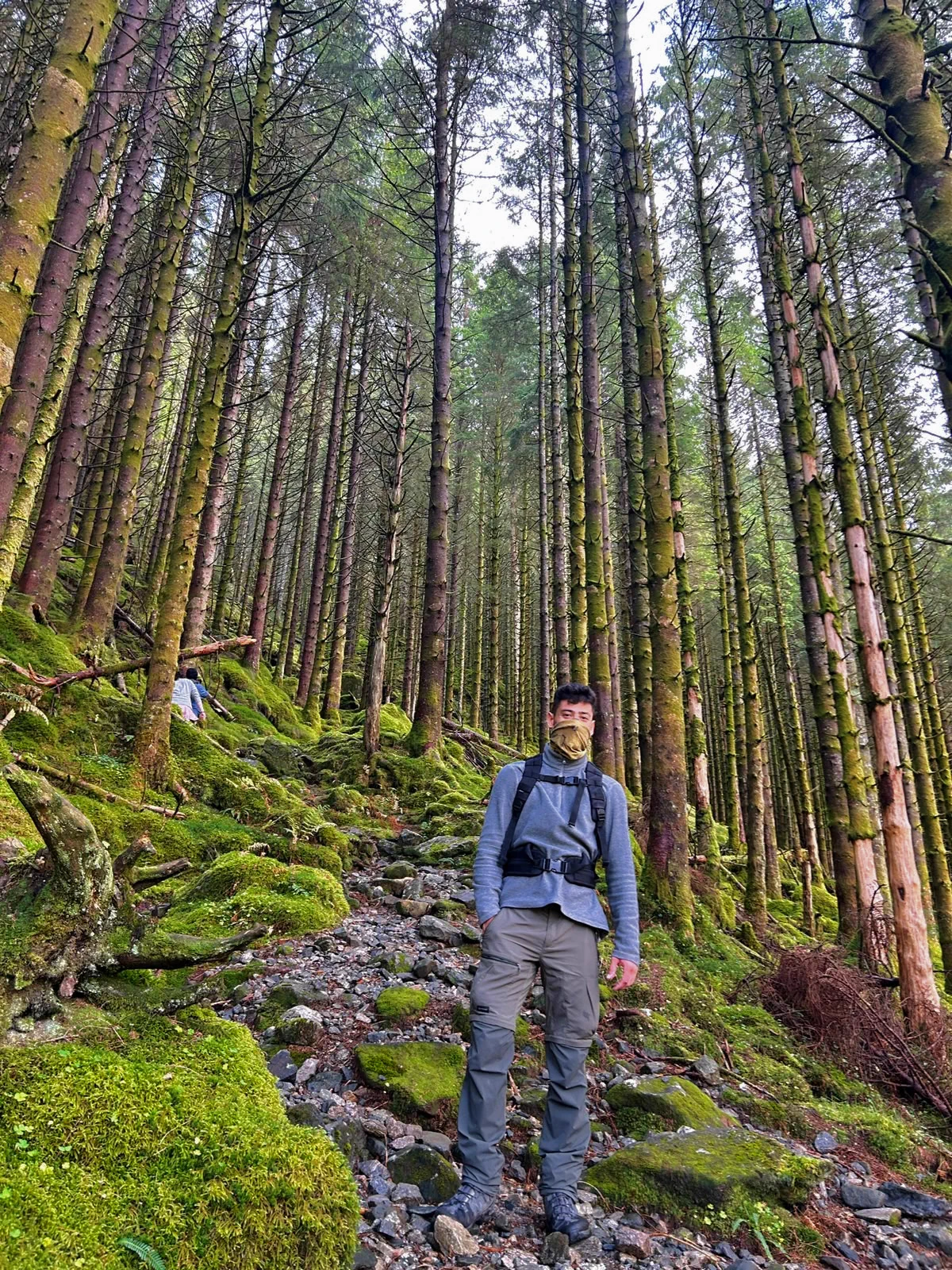 Senderista en un bosque de árboles altos y musgo