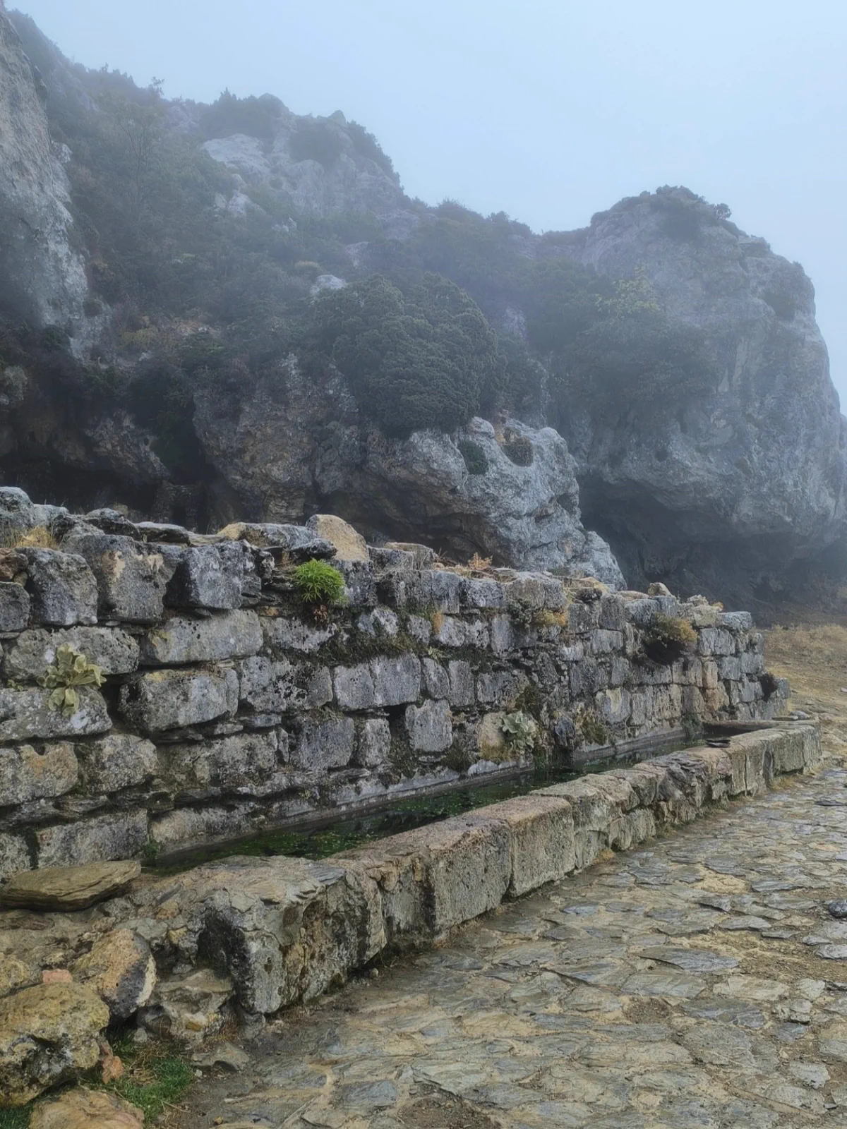 Stone steps on the damp mountain trail