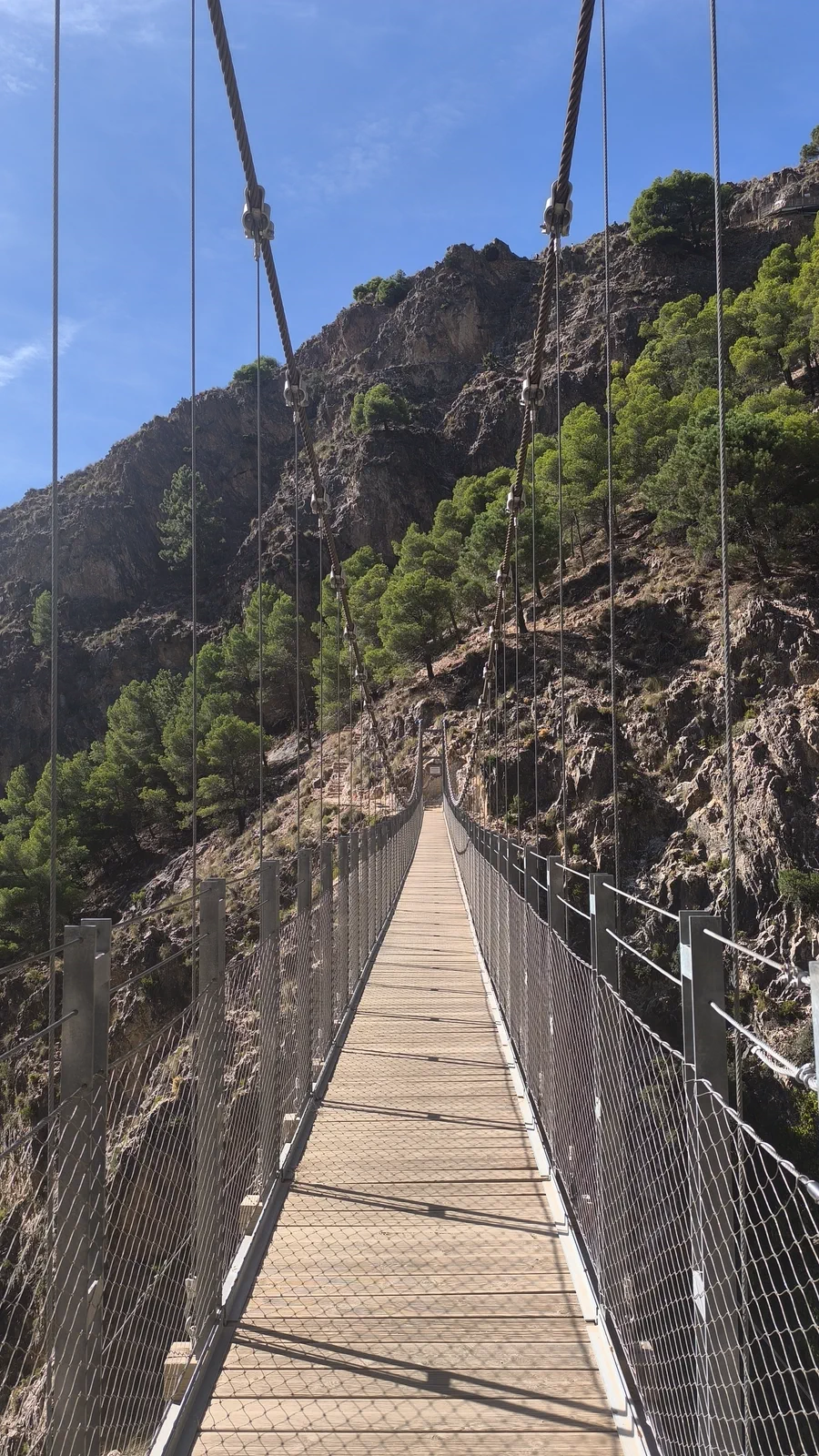 View while crossing the Saltillo suspension bridge