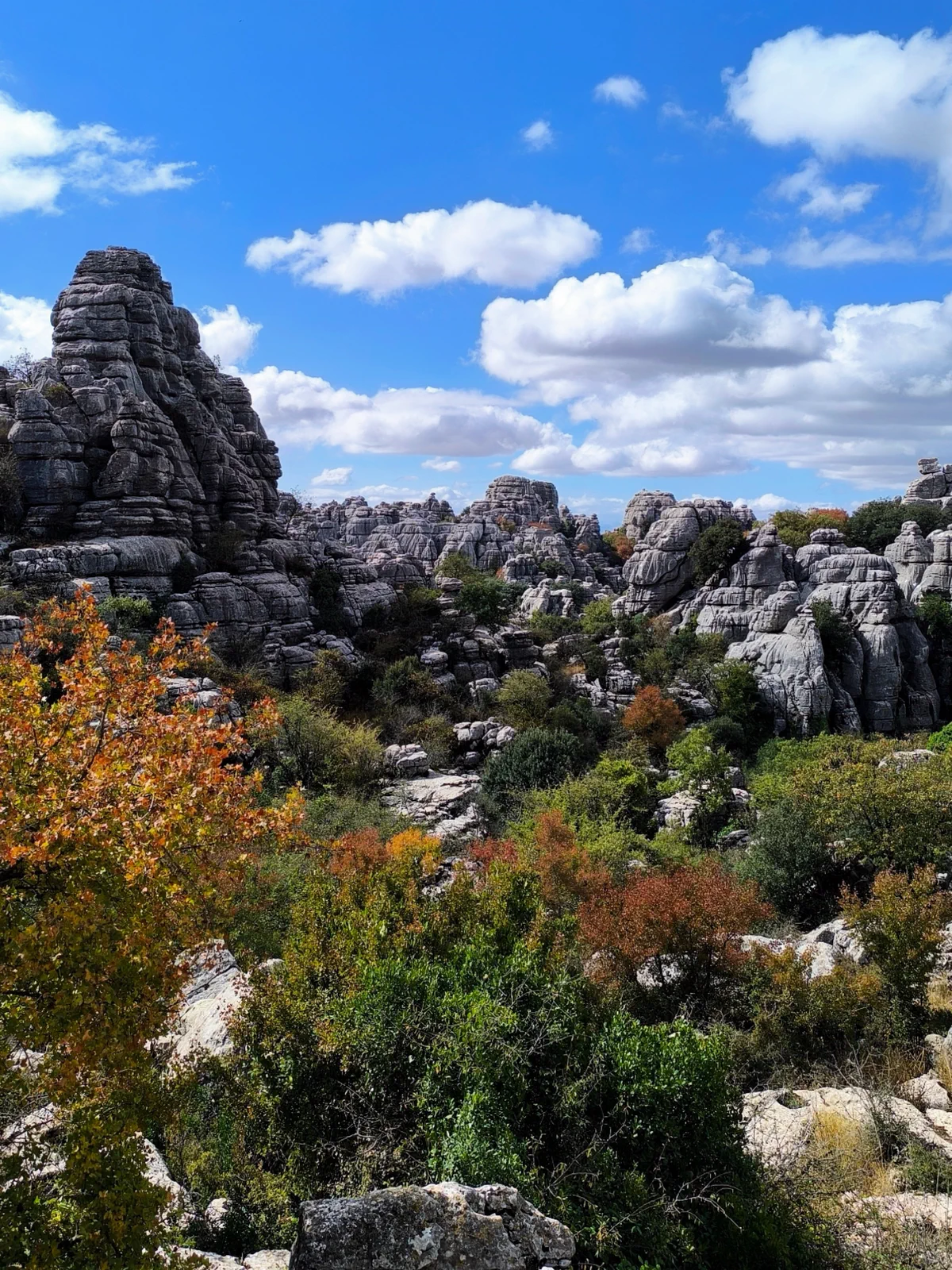 Torcal limestone formations among autumn vegetation