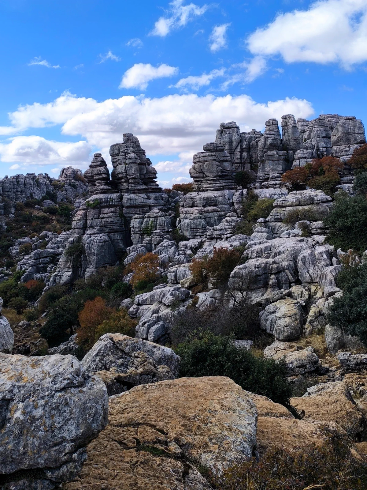 A maze of limestone towers and blocks in the Torcal