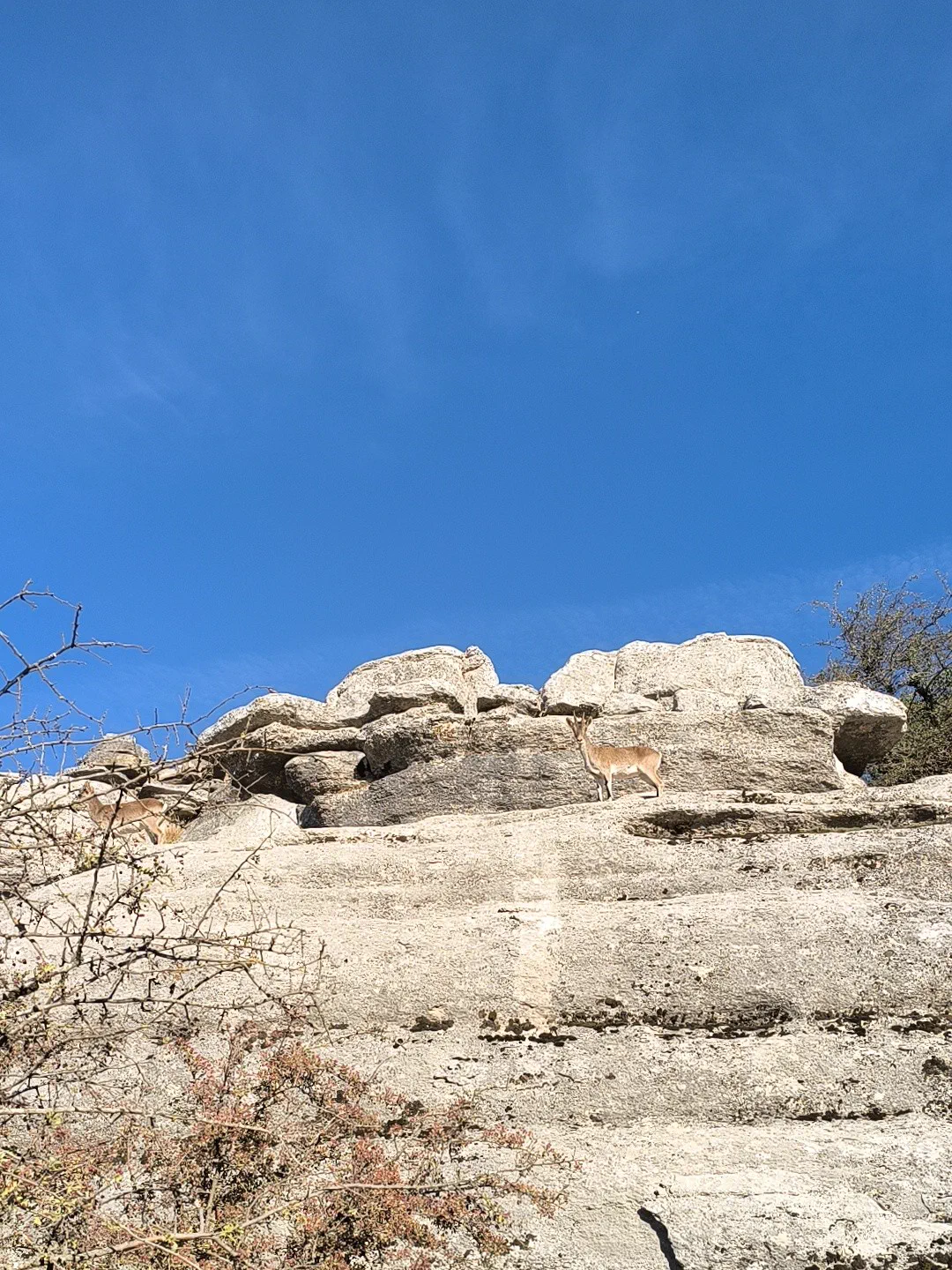 Rounded limestone blocks silhouetted against the sky
